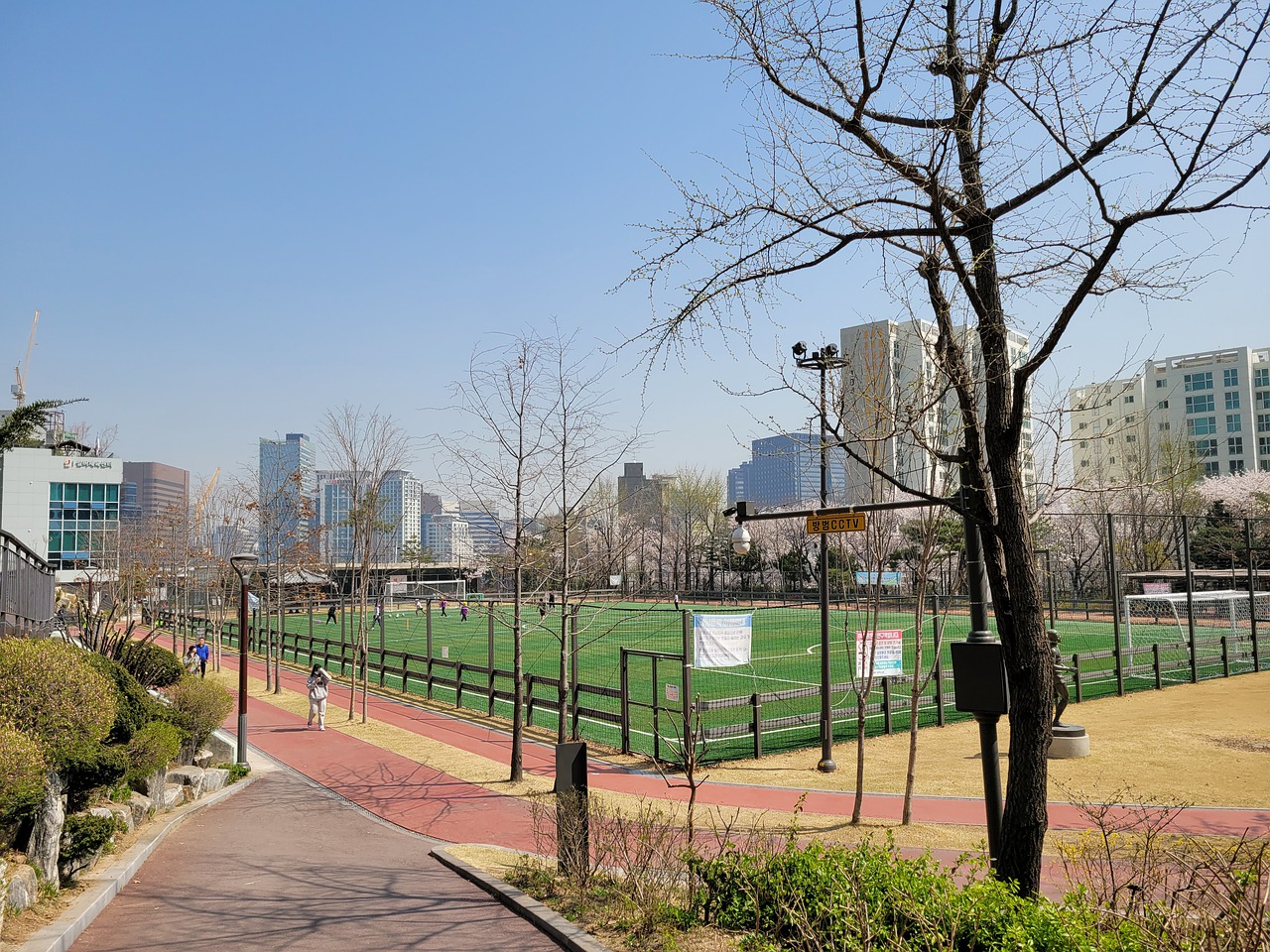 将是海港需