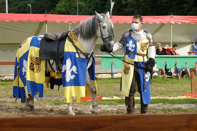 场的竞争力 场的竞争力