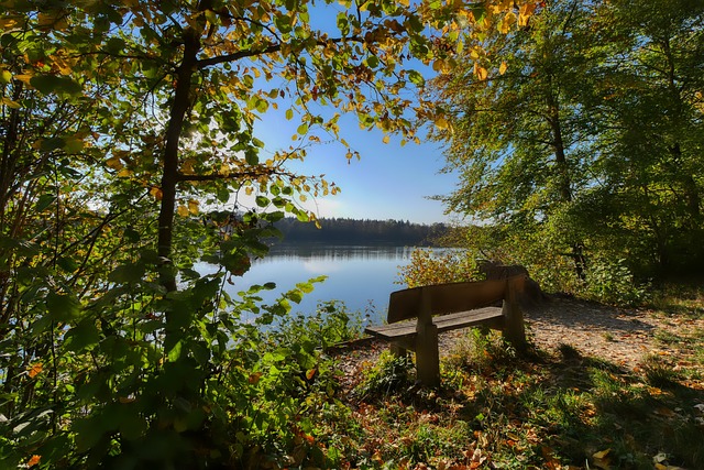 AC米兰解雇主教练丰塞卡 孔塞桑接任.